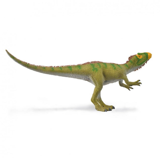 NEOVENATOR GRAN HOCICO - M - 88917 - COLLECTA