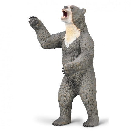 OSO DE CARA CORTA (ARCTODUS) DELUXE 80026 COLLCTA
