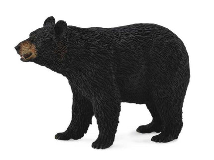 OSO NEGRO -L- 88698 COLLECTA