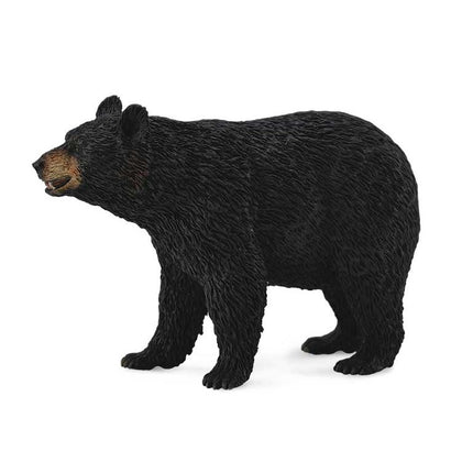 OSO NEGRO -L- 88698 COLLECTA