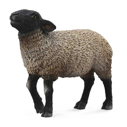 OVEJA SUFFOLK TIPO INGLES -M- 88636 COLLECTA