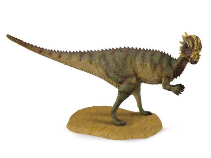 PACHYCEPHALOSAURUS -M- 88629 COLLECTA
