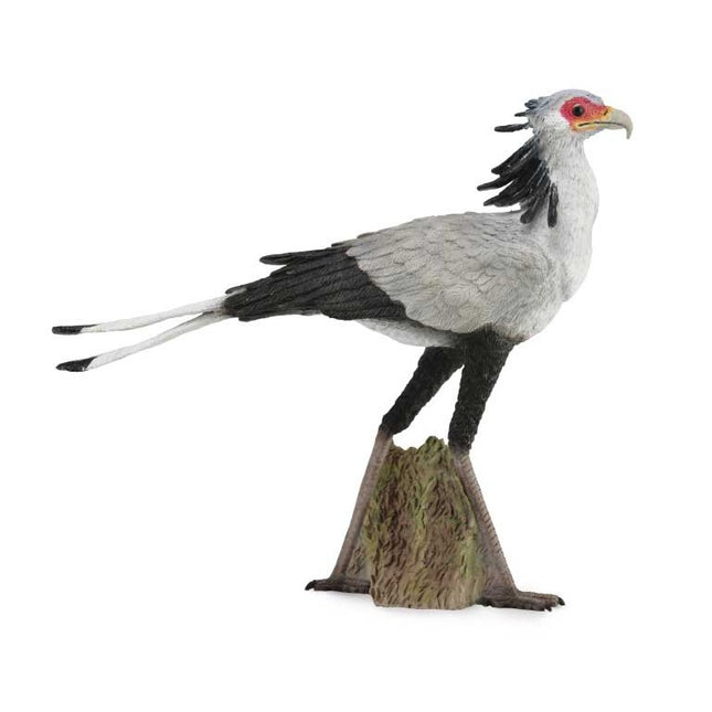 PAJARO SECRETARIO - L - 88796 - COLLECTA