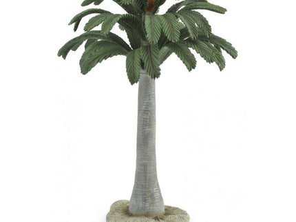 PALMERA CYCAD 89332 COLLECTA