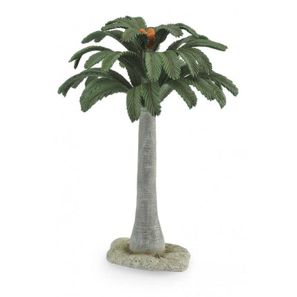 PALMERA CYCAD 89332 COLLECTA