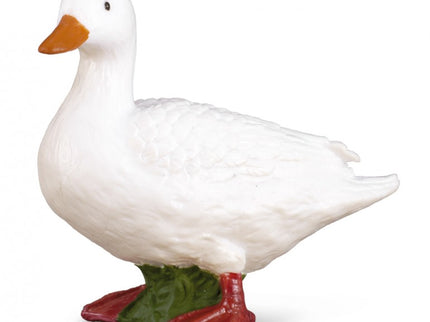 PATO BLANCO - S - 88007 - COLLECTA