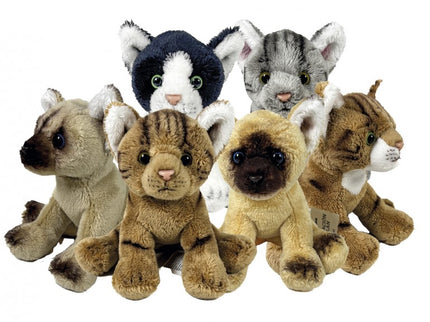 PELUCHE GATO SURTIDO 12CM EN EXPOSITOR 939D00276 BOCALAN