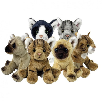 PELUCHE GATO SURTIDO 12CM EN EXPOSITOR 939D00276 BOCALAN