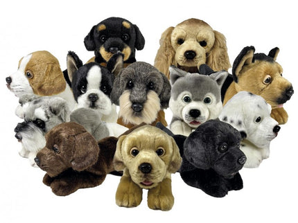 PELUCHE PERRO SURT. 25CM EN EXPOSITOR 939D00283 BOCALAN