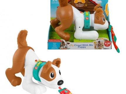 PERRITO GATEA Y JUEGA CONMIGO HGY57 FISHER PRICE
