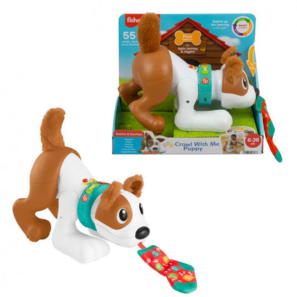 PERRITO GATEA Y JUEGA CONMIGO HGY57 FISHER PRICE