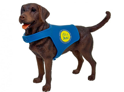 PERRO LABRADOR RETRIEVER CHOCOLATE CON CHALECO D00244 BOCALA