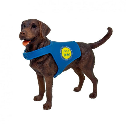 PERRO LABRADOR RETRIEVER CHOCOLATE CON CHALECO D00244 BOCALA
