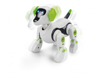 PERRO ROBOT TACHAN