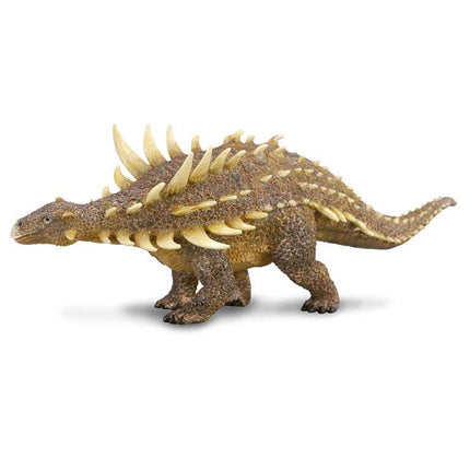 POLACANTHUS -L- 88239 COLLECTA