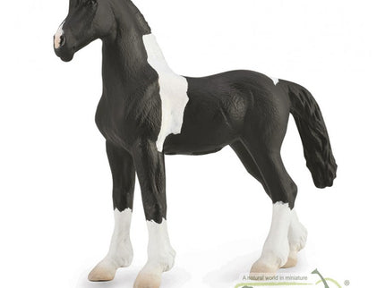 POTRO BAROCK PINTO - M - 88893 - COLLECTA