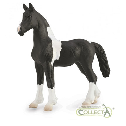 POTRO BAROCK PINTO - M - 88893 - COLLECTA