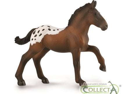 POTRO SUGARBUSH DRAFT - M - 88897 - COLLECTA