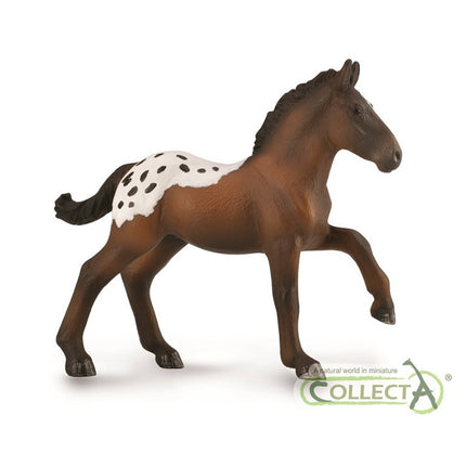POTRO SUGARBUSH DRAFT - M - 88897 - COLLECTA
