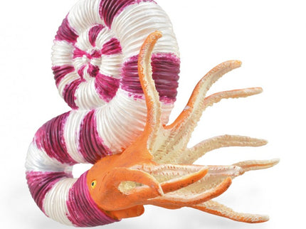 PRAVITOCERAS - L - 88927 - COLLECTA