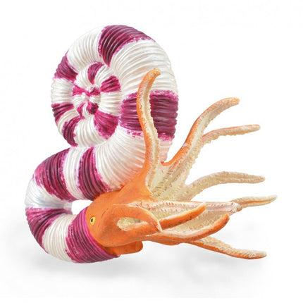 PRAVITOCERAS - L - 88927 - COLLECTA