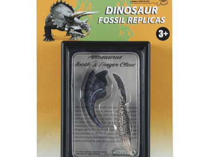 RÉPLICA DEL DIENTE Y GARRA DE ALLOSAURUS 89288 COLLECTA