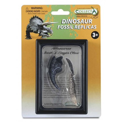 RÉPLICA DEL DIENTE Y GARRA DE ALLOSAURUS 89288 COLLECTA