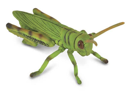 SALTAMONTES -M- 88352 COLLECTA