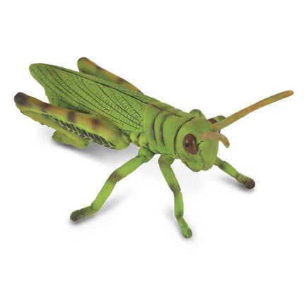 SALTAMONTES -M- 88352 COLLECTA