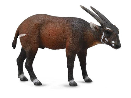 SAOLA -L- 88640 COLLECTA