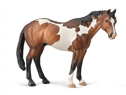 SEMENTAL APPALOOSA BAY OVERO PINTURA - XL - 88956 - COLLECTA