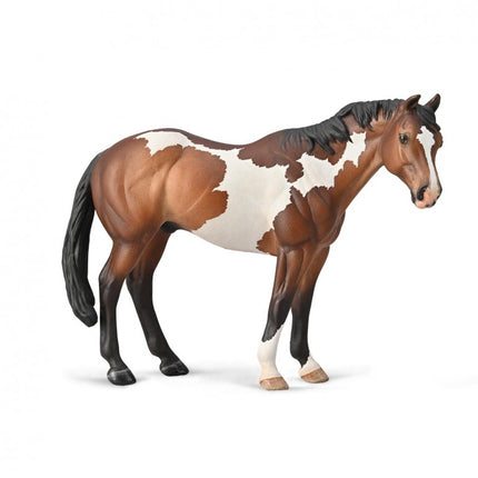 SEMENTAL APPALOOSA BAY OVERO PINTURA - XL - 88956 - COLLECTA