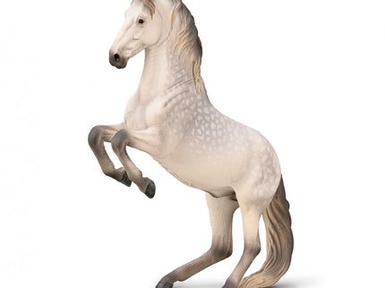 SEMENTAL LIPIZZANO GRIS TORDO XL-80051-COLLECTA