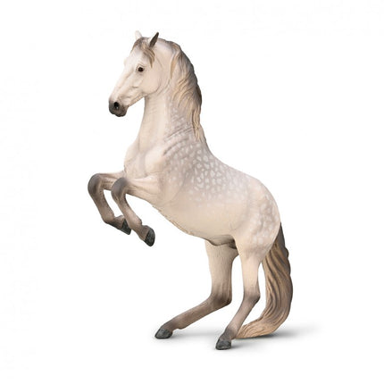 SEMENTAL LIPIZZANO GRIS TORDO XL-80051-COLLECTA