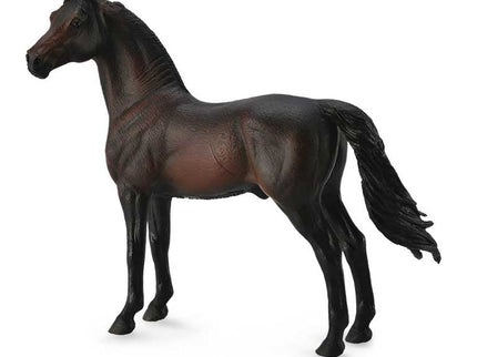 SEMENTAL MORGAN - CASTAÑO OSCURO -XL- 88646 COLLECTA