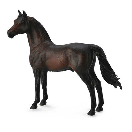 SEMENTAL MORGAN - CASTAÑO OSCURO -XL- 88646 COLLECTA