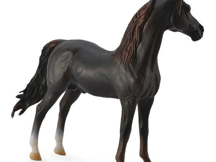 SEMENTAL MORGAN - CASTAÑO -XL- 88647 COLLECTA