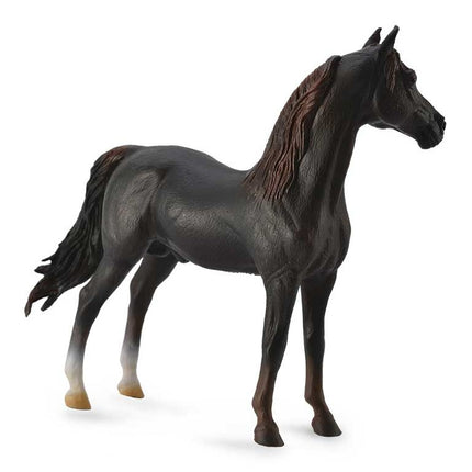 SEMENTAL MORGAN - CASTAÑO -XL- 88647 COLLECTA