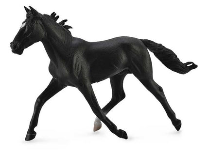 SEMENTAL PACER DE RAZA ESTÁNDAR - NEGRO - XL - 88645 - COLLE