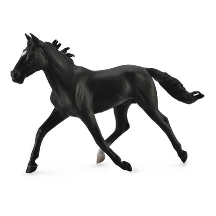 SEMENTAL PACER DE RAZA ESTÁNDAR - NEGRO - XL - 88645 - COLLE