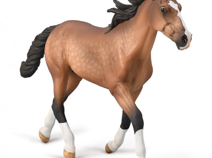 SEMENTAL PACER STALLION BAY - XL - 80004 - COLLECTA