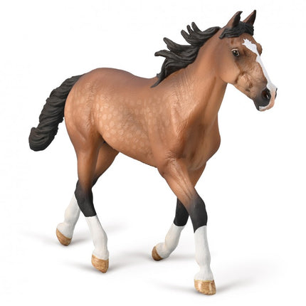 SEMENTAL PACER STALLION BAY - XL - 80004 - COLLECTA