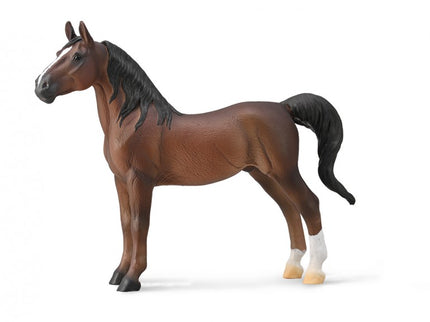SEMENTAL SADDLEBRED AMERICANO - CASTAÑO - XL - 88954 - COLL