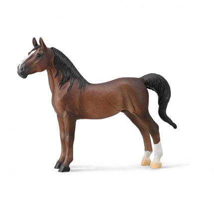 SEMENTAL SADDLEBRED AMERICANO - CASTAÑO - XL - 88954 - COLL