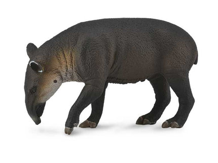 TAPIR CENTROAMERICANO -L- 88596 COLLECTA
