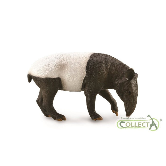TAPIR MALAYO - L - 88881 - COLLECTA