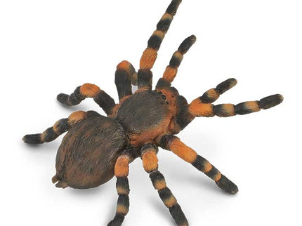 TARÁNTULA ROJA MEXICANA - L - 88338 - COLLECTA