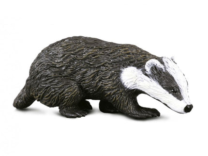 TEJÓN EURASIÁTICO - S - 88015 - COLLECTA