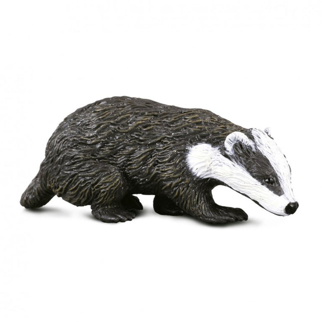 TEJÓN EURASIÁTICO - S - 88015 - COLLECTA