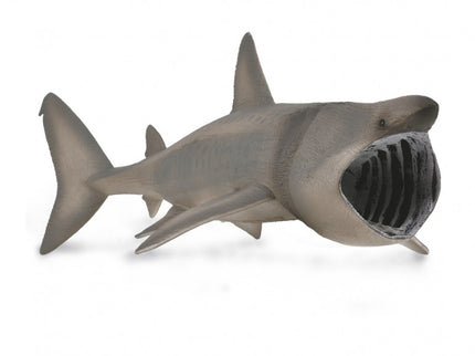 TIBURÓN PEREGRINO - XL - 88914 - COLLECTA